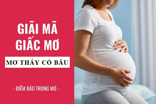 Mơ thấy tuyết rơi đánh con gì