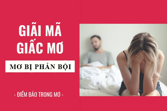 Cược Rồng Hổ